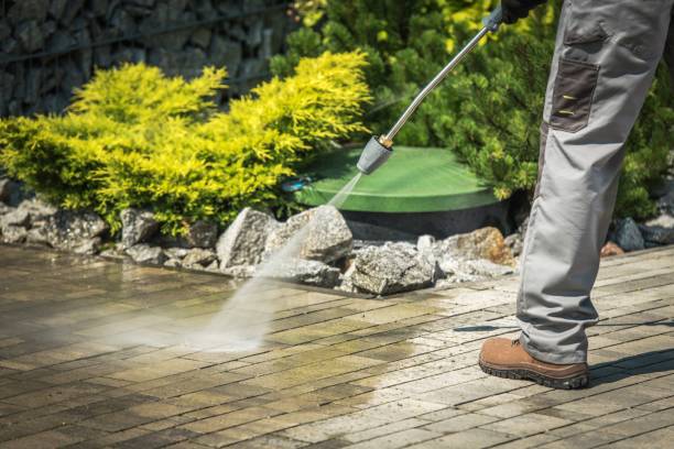  Montrose, MI Pressure Washing Pros